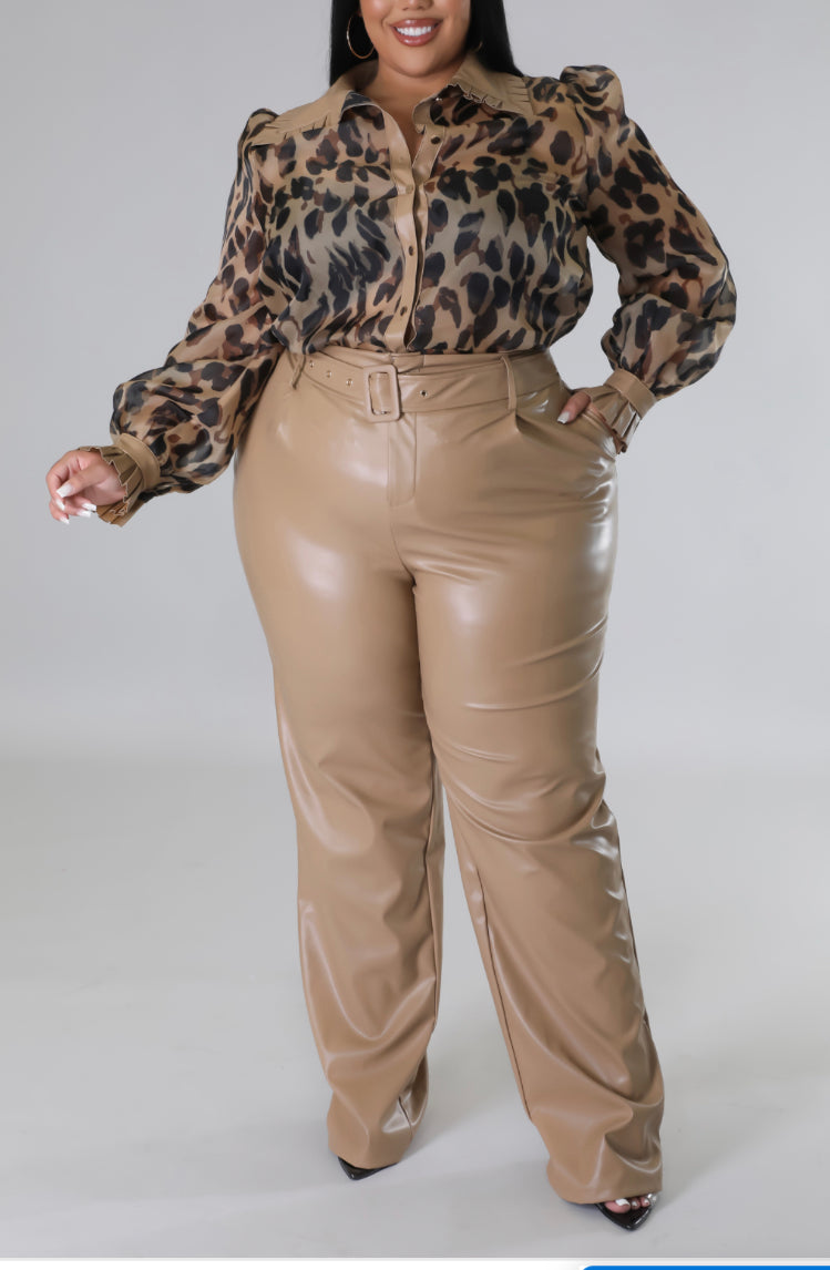 Taupe/Print Pant Set-CURVY